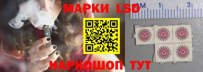 прущие грибы Усть-Джегута