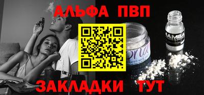 прущие грибы Усть-Джегута