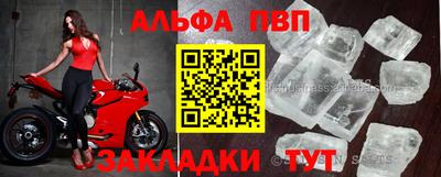 прущие грибы Усть-Джегута