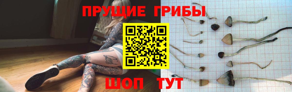 Галлюциногенные грибы Psilocybine cubensis Верхний Уфалей